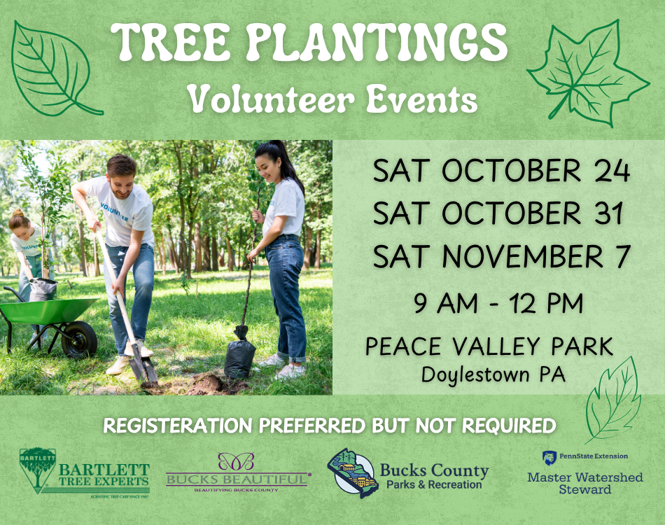 Fall Tree Plantings